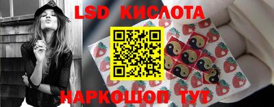 гидропоника Бугуруслан