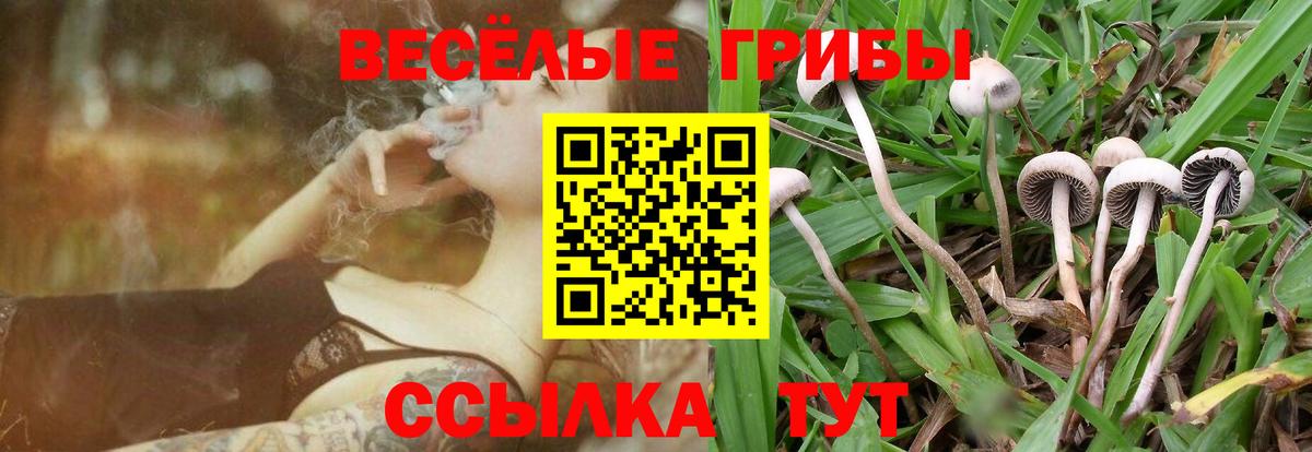 Иркутск  Галлюциногенные грибы прущие грибы  Вход с VPN 